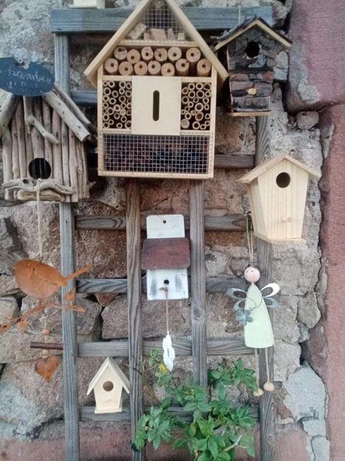 Gite Ferme La Rosee Blanche Laveline Dış mekan fotoğraf